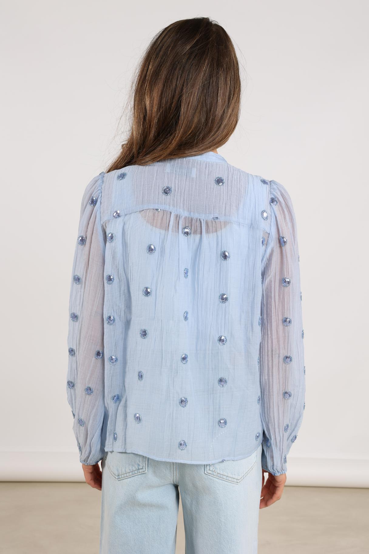 Rosan Blouse Embroidery | Ice